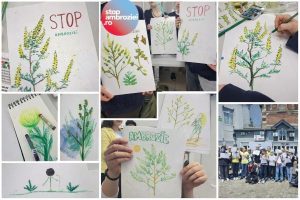 Stop ambroziei tineri