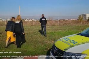 stop-ambroziei politia sector 4